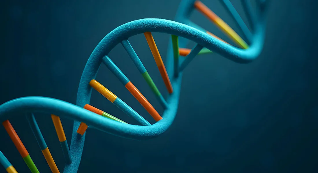 Τρισδιάστατη απεικόνιση της διπλής έλικας του DNA με μπλε σκελετό και πορτοκαλί βάσεις σε σκούρο φόντο.